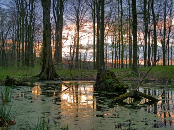 00051_Erlenbruch_Tilo Geisel.jpg